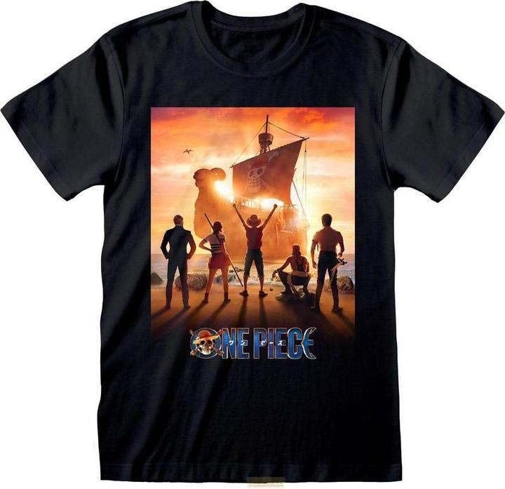 Actual product image Heroes Inc One Piece T-Shirt Key Art size M (M)