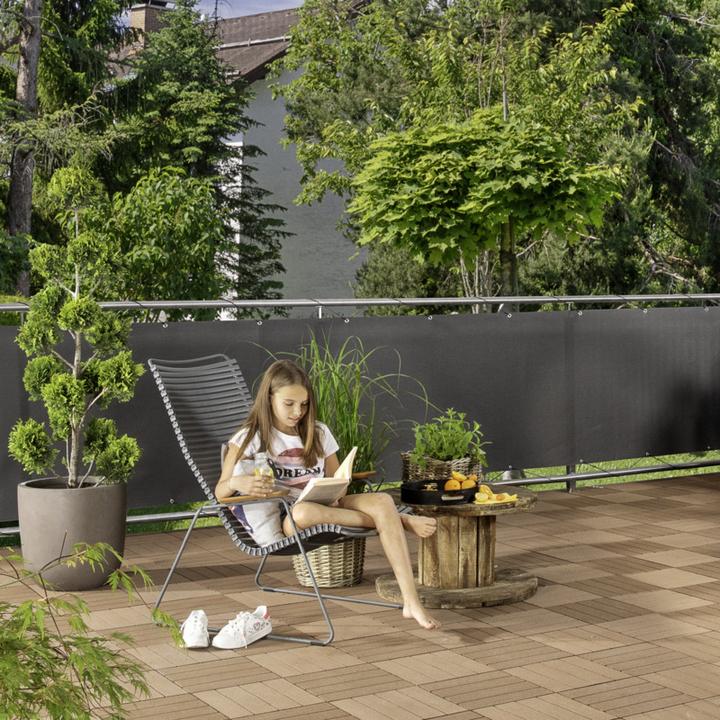 Image du produit Windhager Aeris (500 cm)