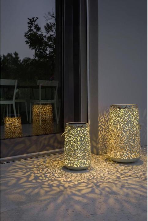 Image du produit STT Antic Mistral