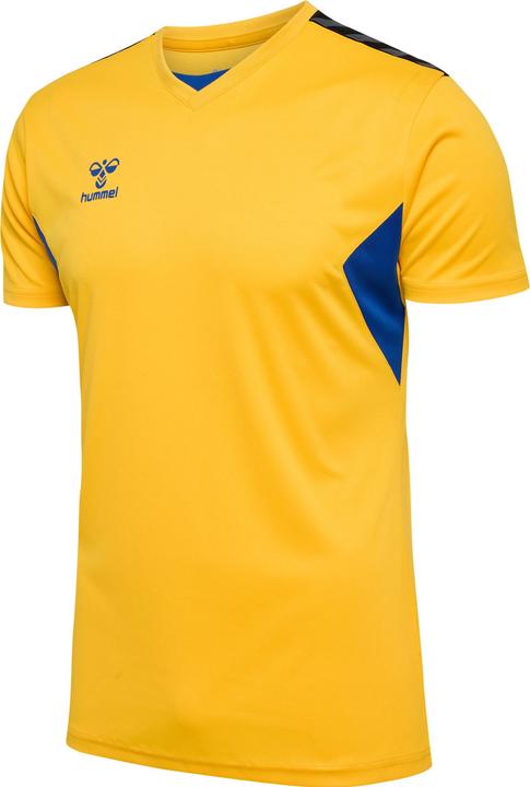 Sportsyellowtrueblue