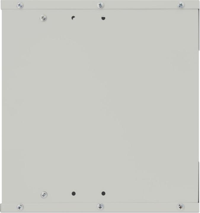 Actual product image Intellinet 10" wall distributor (5.71 RU, 10 inch rack)