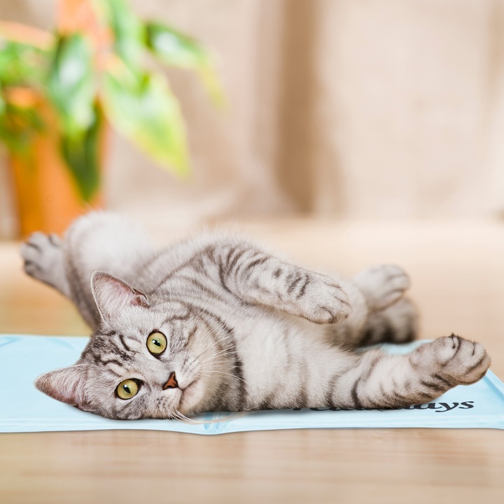 Image du produit Relaxdays Tapis de refroidissement (Chien)