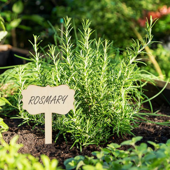 Produktbild Relaxdays 100x Pflanzenstecker