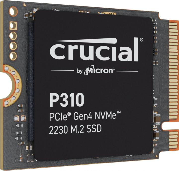 Crucial P310
