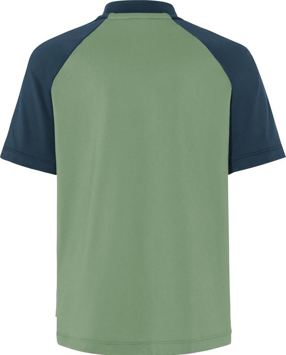 Verde salice