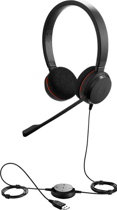 Actual product image Jabra Evolve 20 (Cable, USB-A)