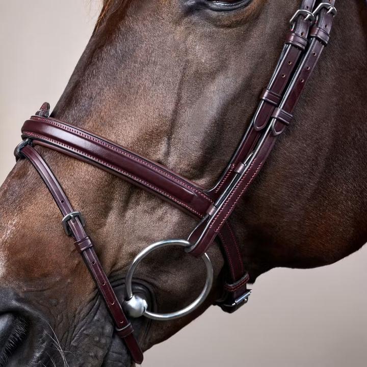 Immagine prodotto Dy'on Flash New English Collection