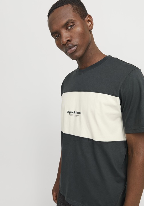 Actual product image Jack & Jones Jorvesterbro Block Tee Ss Crew Styd Aw24 (M)