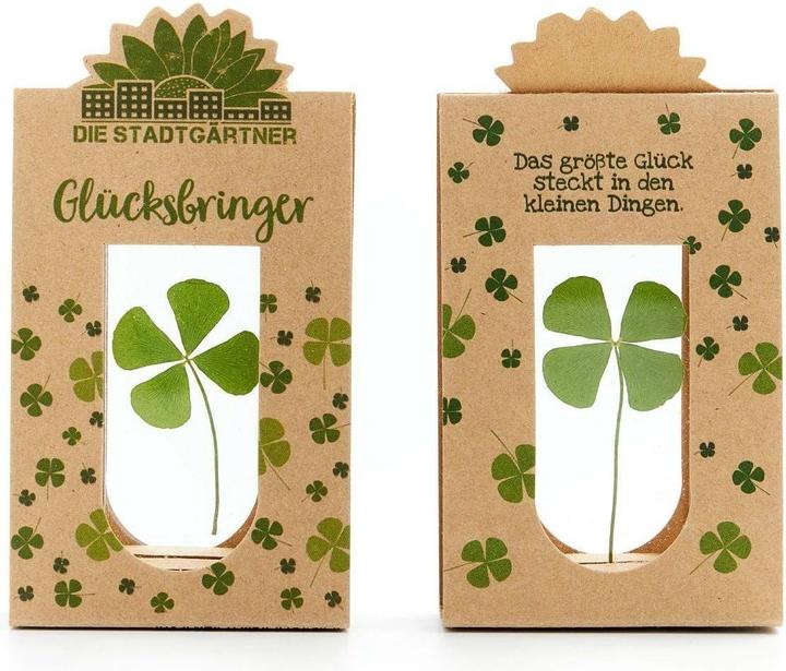 Actual product image Die Stadtgärtner Lucky charm (Dried flowers, 1x)