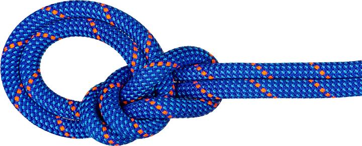 Immagine prodotto Mammut 9.5 Crag Dry Kletterseil (80 m)