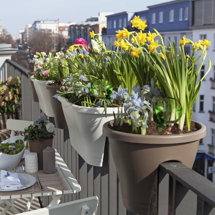 Produktbild Relaxdays Bewässerungskugel (Bewässerungskugeln)
