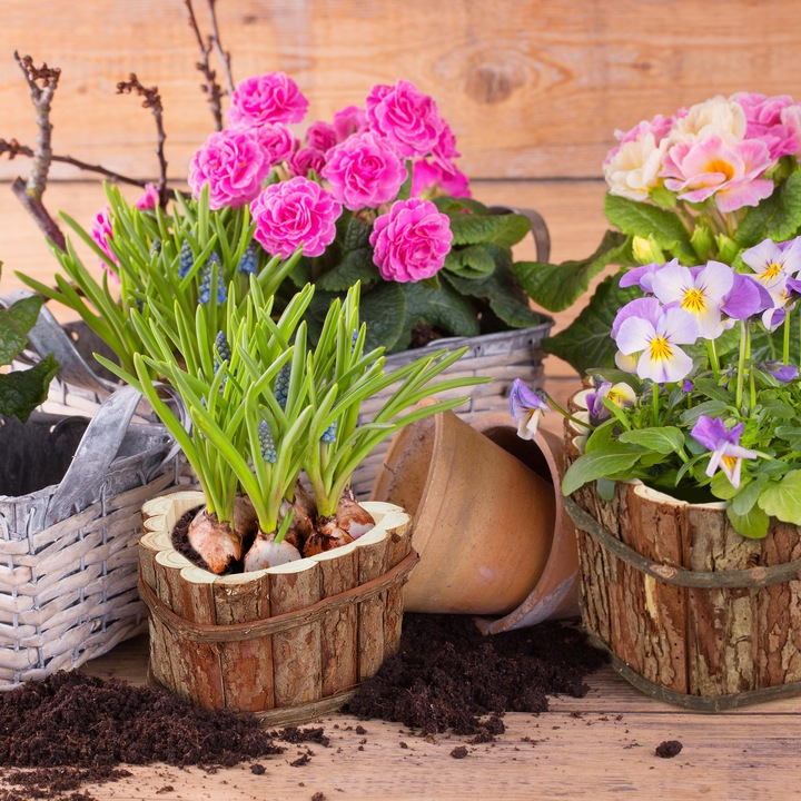 Produktbild Relaxdays Blumenkasten (29 cm)
