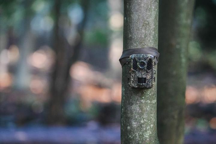 Actual product image Braun Photo Scouting Cam Black200 WiFi Mini