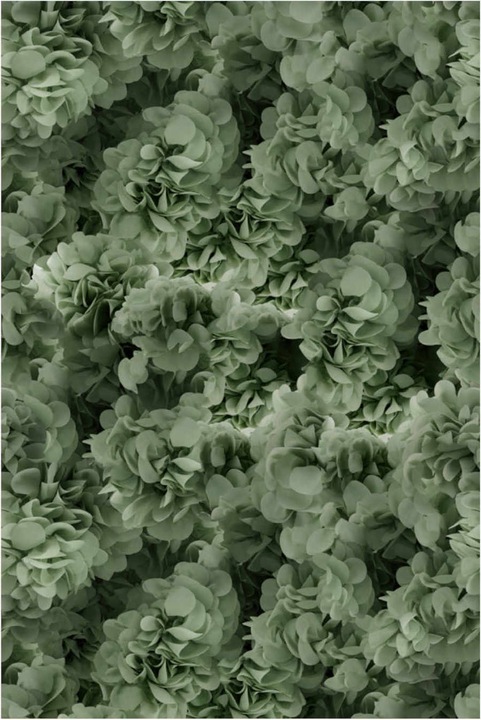 Actual product image Moooi Hortensia carpet (300 x 400 cm)