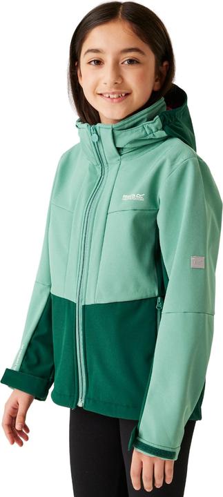 Produktbild Regatta Haydenbury II Softshelljacke (170, 176)