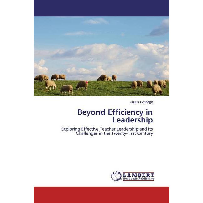 Beyond Efficiency in Leadership, Fachbücher von Julius Gathogo