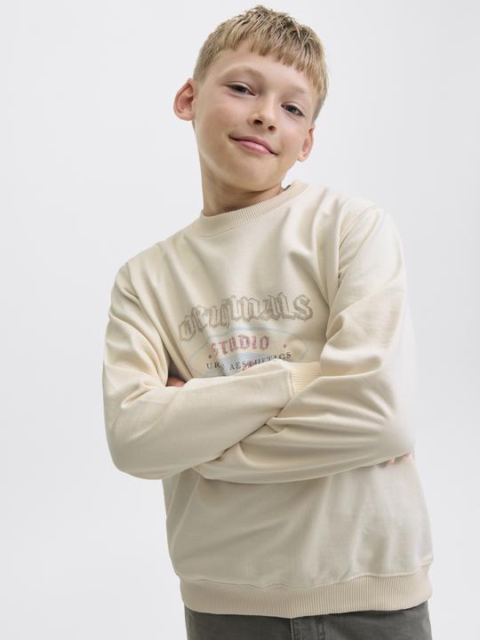 Actual product image Jack & Jones Junior Pullover MEADOWS Sweatshirt (164)