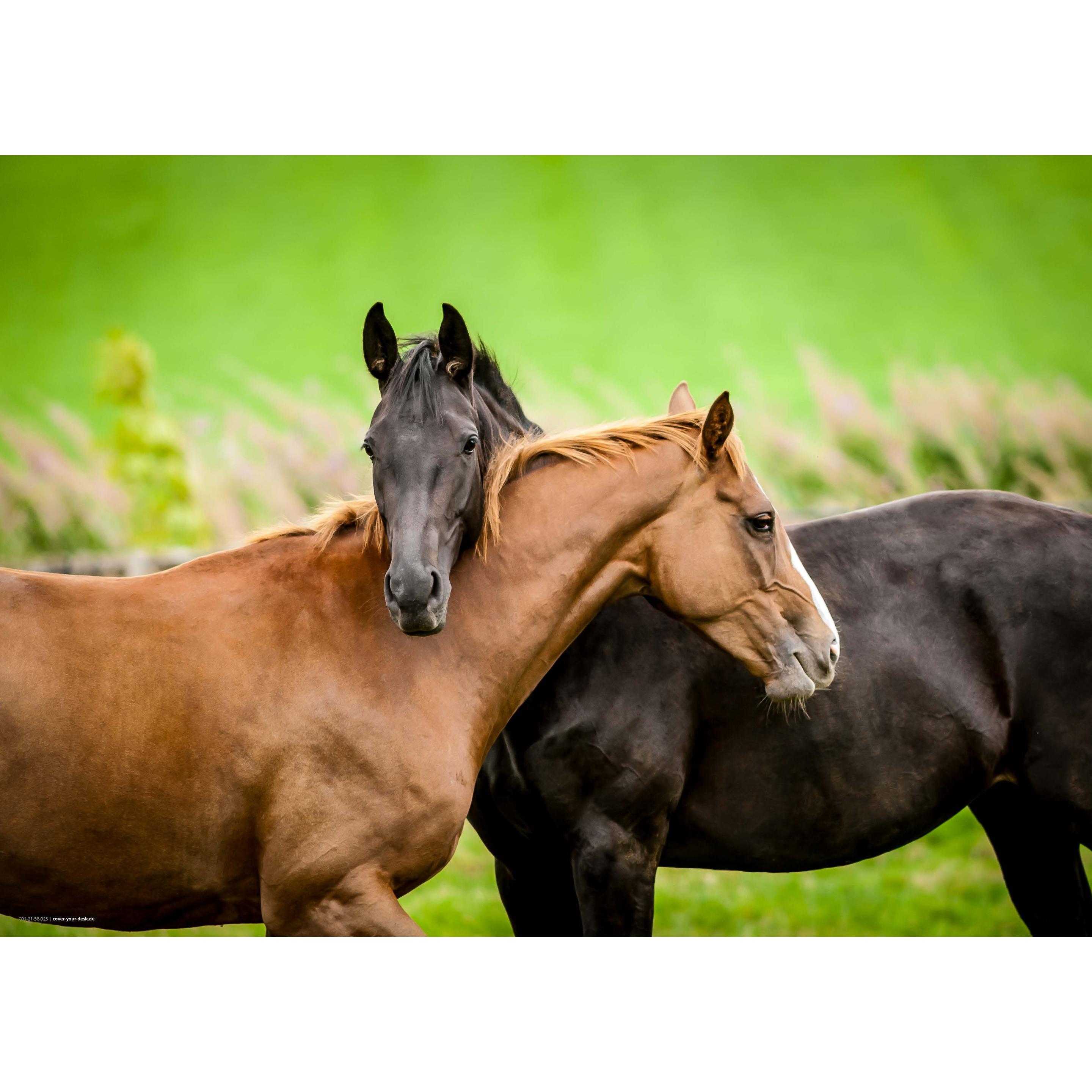 CoverYourDesk, Unterlage, Schreibtischunterlage Beste Pferdefreunde