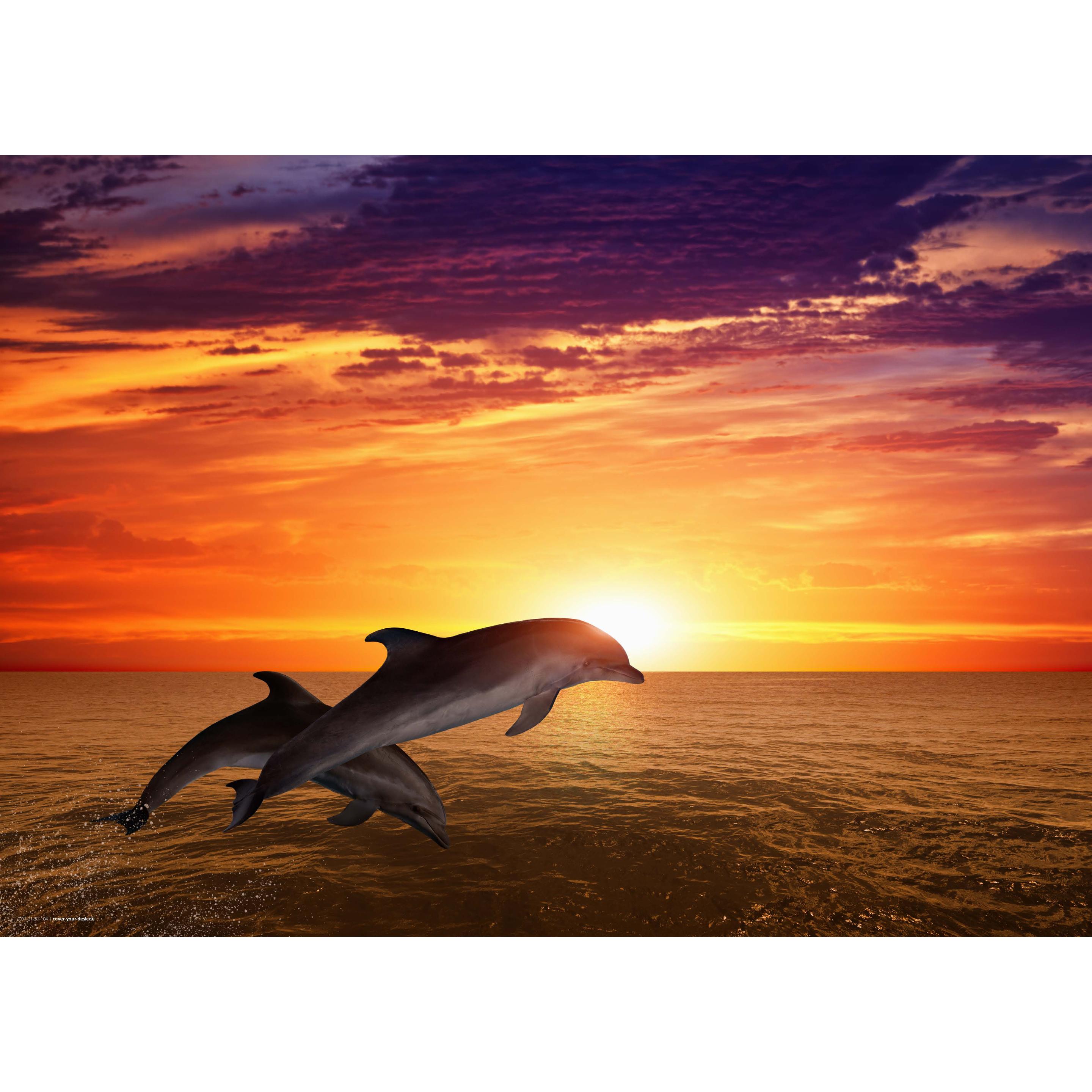 CoverYourDesk, Unterlage, Schreibtischunterlage Delfine im Sonnenuntergang