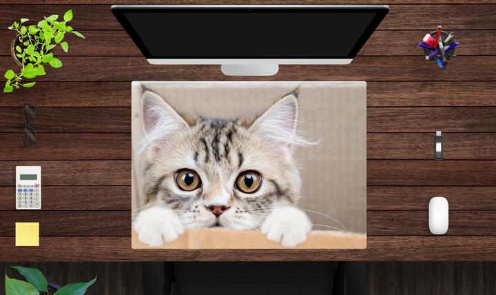 Actual product image CoverYourDesk Maine Coon kittens