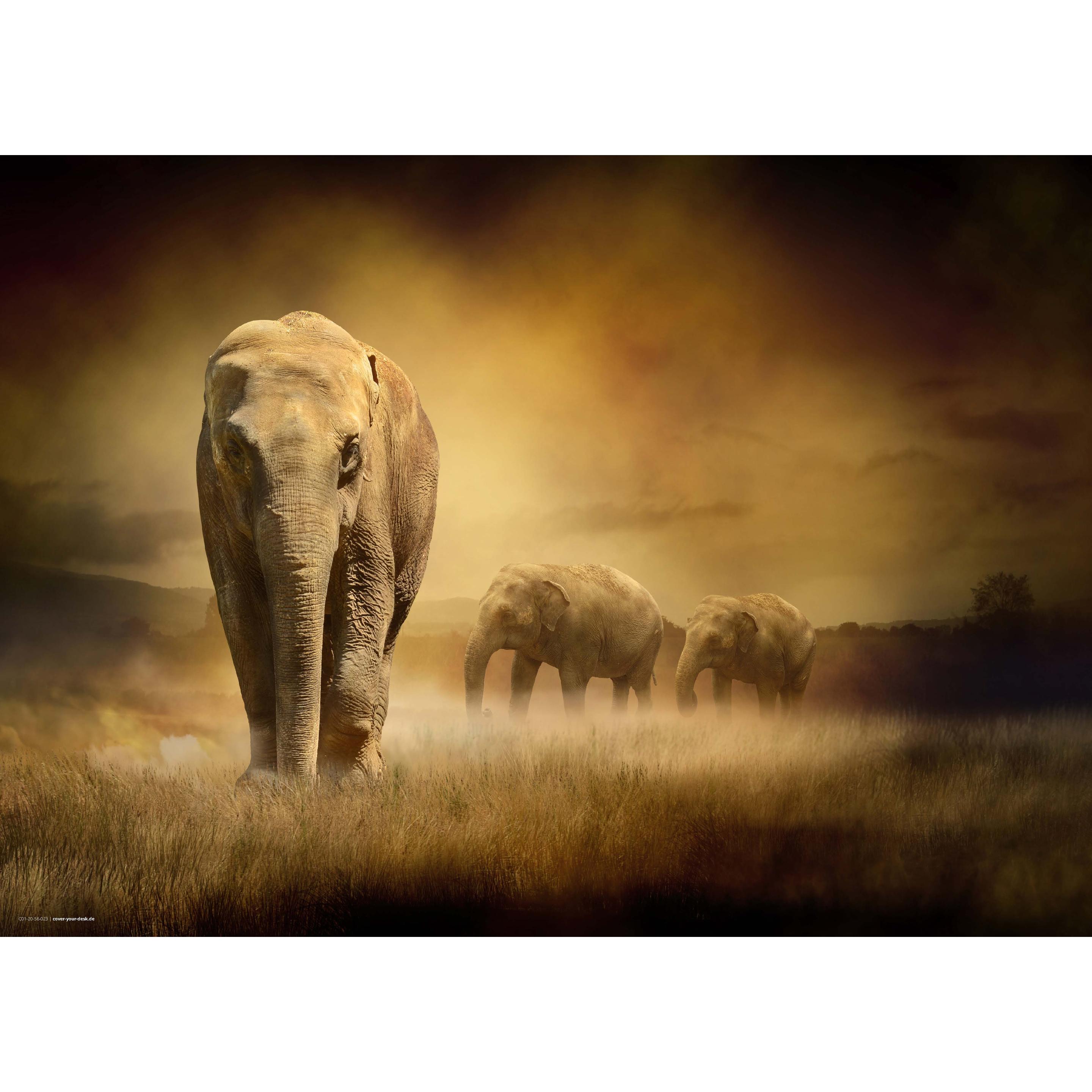 CoverYourDesk, Unterlage, Schreibtischunterlage Elefant