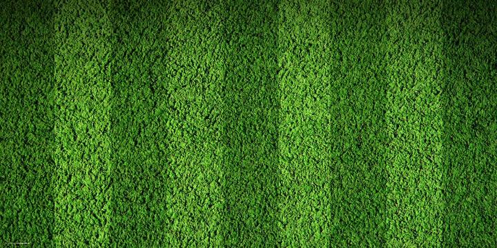Actual product image CoverYourDesk Playing field turf