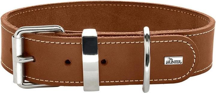 Hunter Halsband Aalborg Special (Hund, Spazieren)