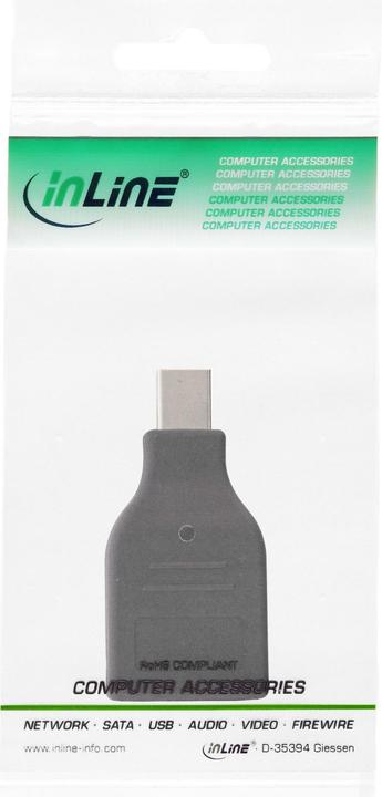 Actual product image InLine DisplayPort converter (HDMI, 12 cm)