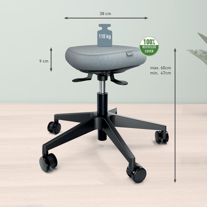 Actual product image Leitz Ergo Active