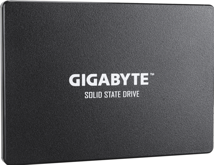 Actual product image Gigabyte GP-GSTFS31100TNTD (1000 GB, 2.5")