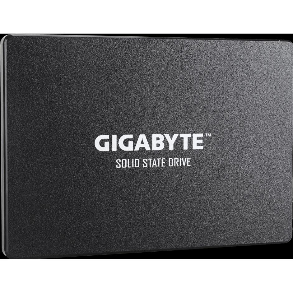 Gigabyte GP-GSTFS31100TNTD (1000 GB, 2.5"), SSD