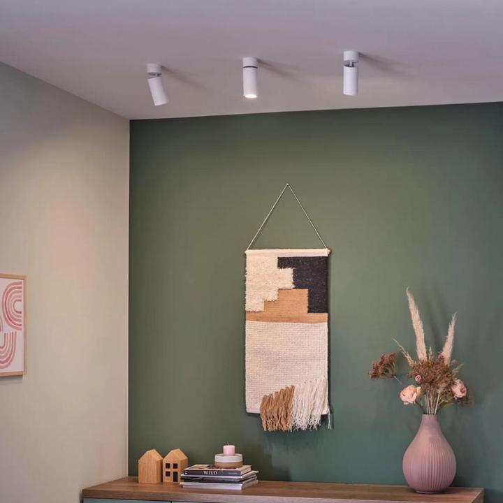 Actual product image Paulmann Surface mounted luminaire Turnal Set (470 lm)