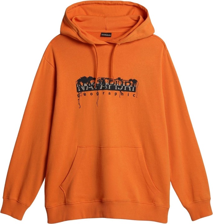 Actual product image Napapijri hoodie napo (XS)