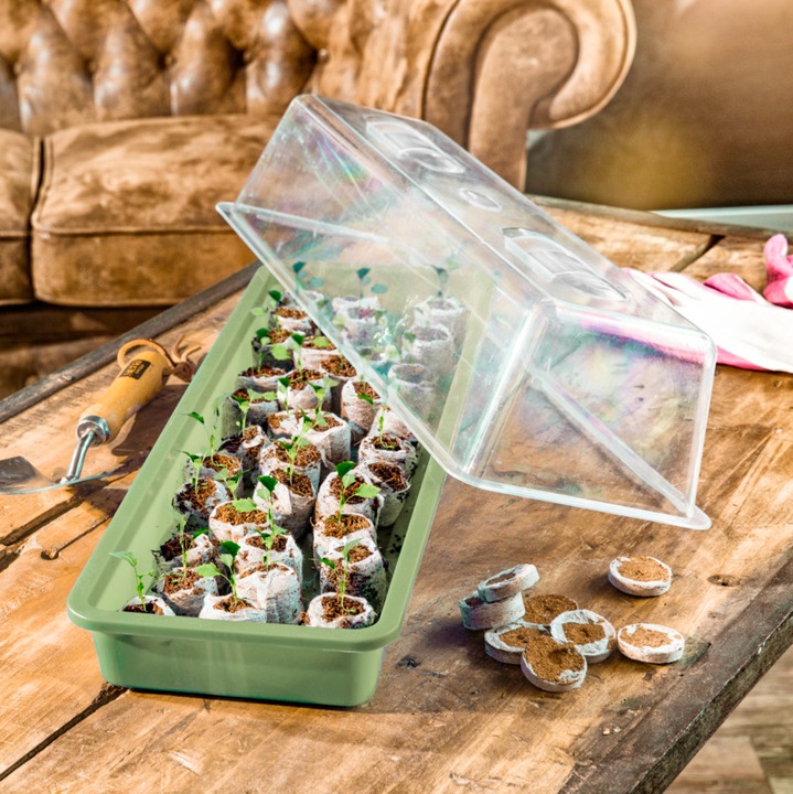 Actual product image Windhager Sowing Bowl 58x19x6cm