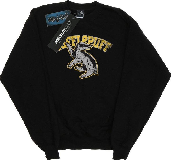 Produktbild Hufflepuff Sport Emblem Sweatshirt Jungen (152, 158)