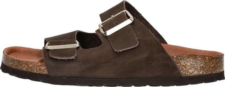 Dark brown