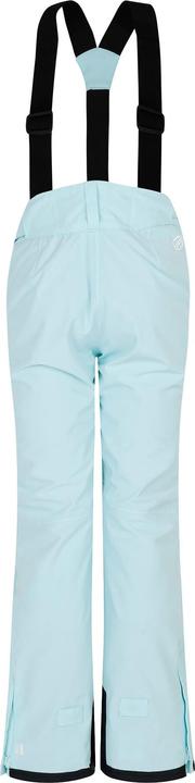 Actual product image Dare2b Womens/Ladies Effused II Waterproof Ski Trousers (Frequency band 38 (2600 MHz))