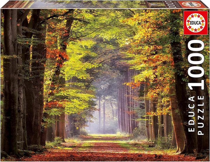 Produktbild Educa Herbstweg durch Wald Puzzle (1000 Teile)