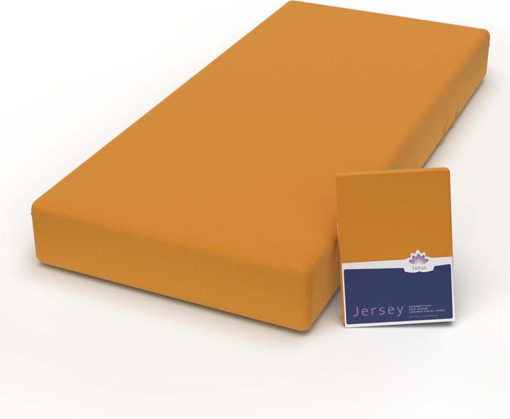 Actual product image Lotus Bettwaren Jersey Fix Comfort (140-160 x 200 cm)