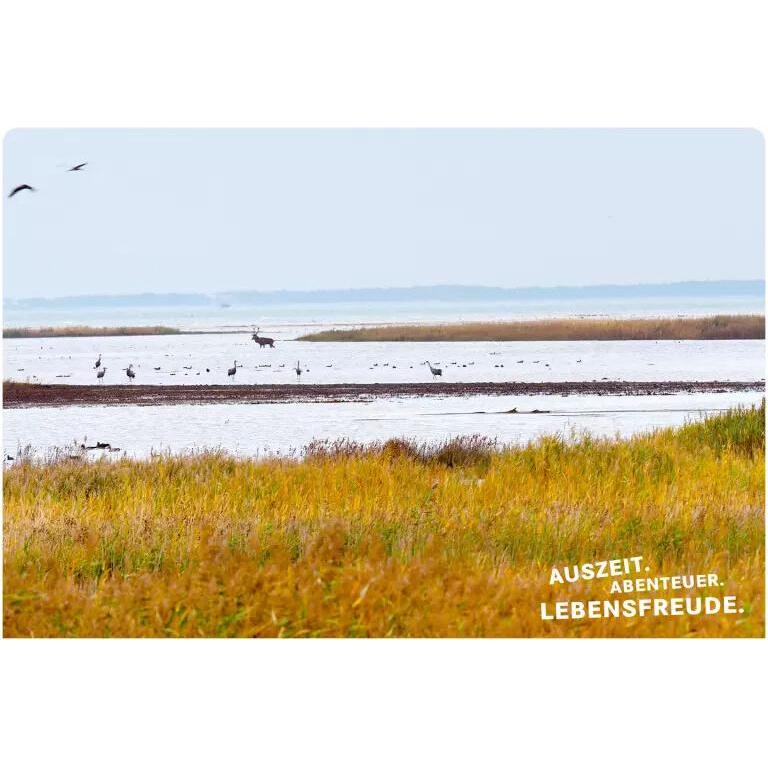 Thumbnail - 52 kleine & grosse Eskapaden Wochenenden in Deutschland, Ratgeber von Stefanie Sohr, Elke Weiler, Andrea Lammert, Susann...