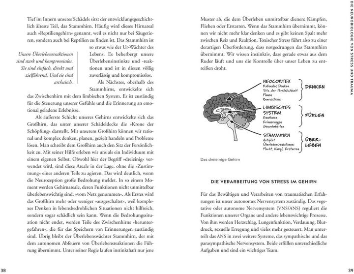 Produktbild Bin ich traumatisiert? (Deutsch, Verena König, 2021)