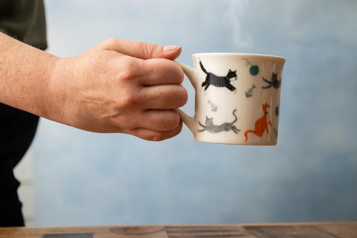 Actual product image Mikasa MK Mug (250 ml, 1x)