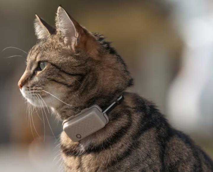 Actual product image Tractive GPS Mini (One size, Cat, General)