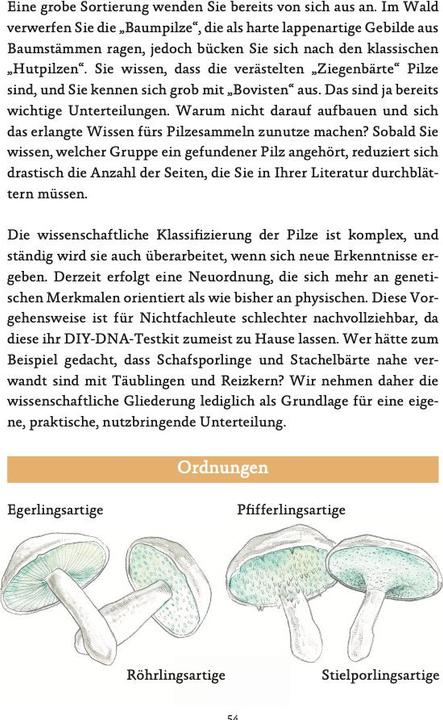 Actual product image Die häufigsten Pilze der deutschen Mittelgebirge leicht bestimmen (German, Thomas Regnery, Hilke Käsebier, 2022)