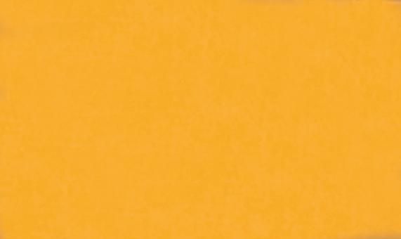 Actual product image Folia Bringmann Transparent Paper Roll 70x100 (42 g/m², 1x)