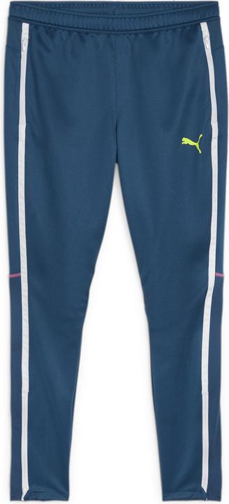 Puma individualBLAZE Training Pants
