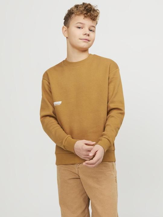 Actual product image Jack & Jones Jorcollect Edt Loose Sweat Crew Jnr (176)