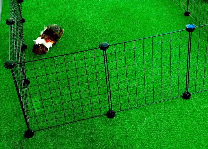 Immagine prodotto C&C Cuccia modulare per cani 145x75x37 cm