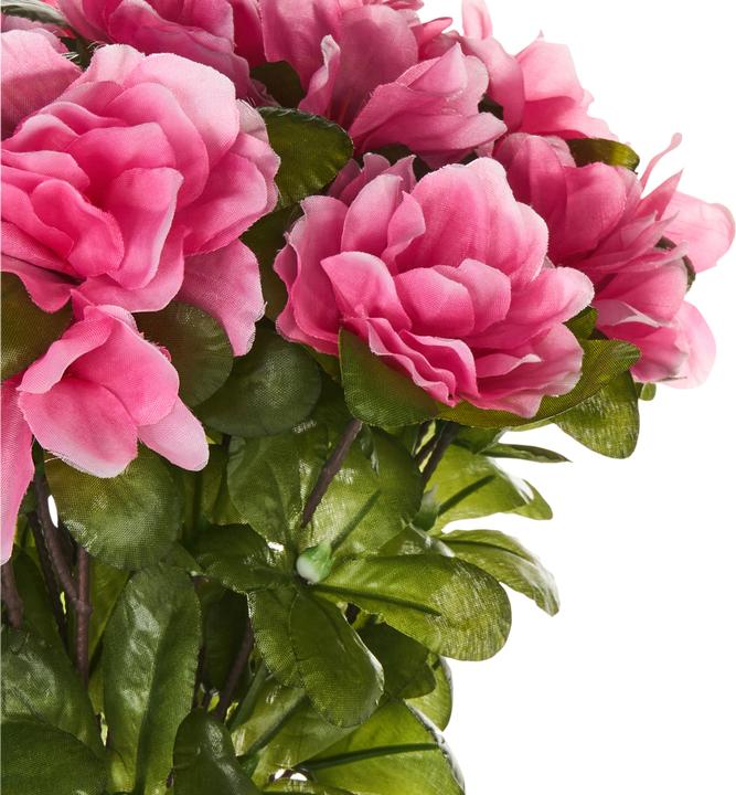 Immagine prodotto Beliani Novella (36 cm)