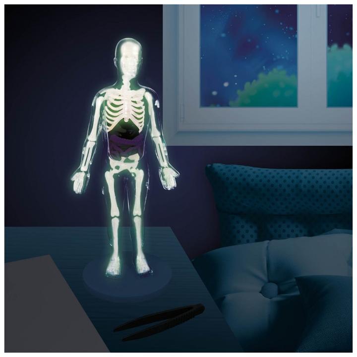 Actual product image Buki The human body